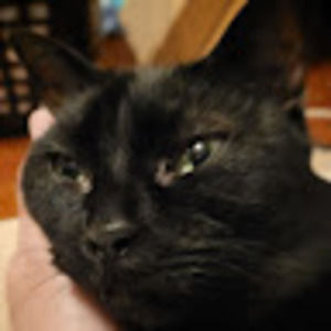 Meet your Posher, Kathy